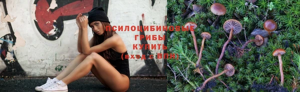 амф Медвежьегорск