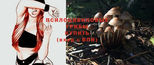 амф Медвежьегорск