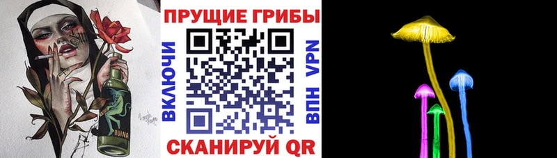 МЕГА как зайти  Вилюйск  Псилоцибиновые грибы мицелий 